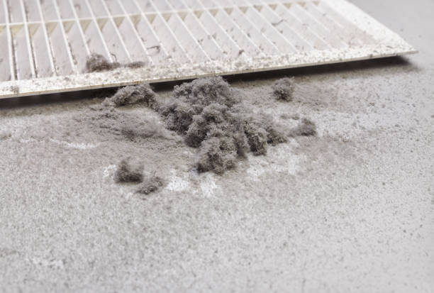 Best Affordable Air Duct Cleaning  in Rapid City, MI