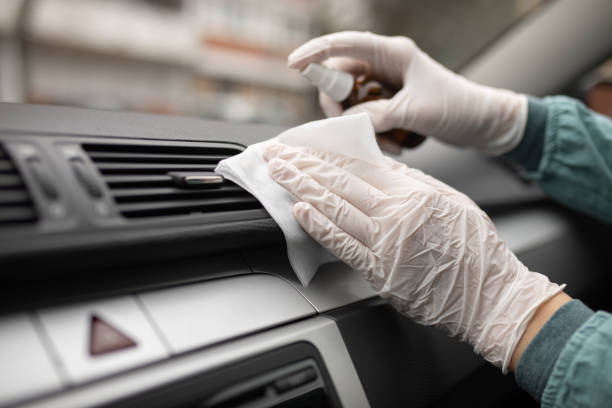 Best Duct Cleaning for Homes  in Rapid City, MI