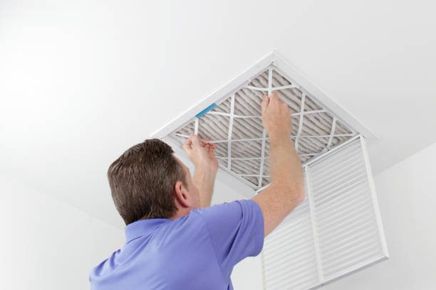 Best Air Vent Cleaning Services  in Rapid City, MI